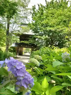 陽林寺(福島県)
