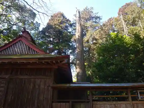 熊野神社のその他建物