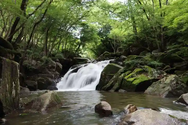 瀧鶏山不動尊の自然