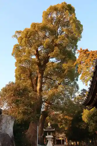 細江神社(静岡県)