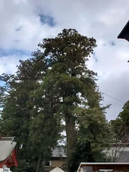 香取神宮の自然