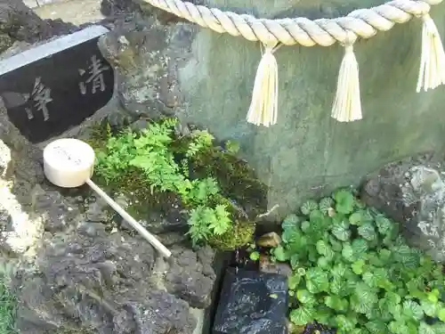 瀧宮神社の手水