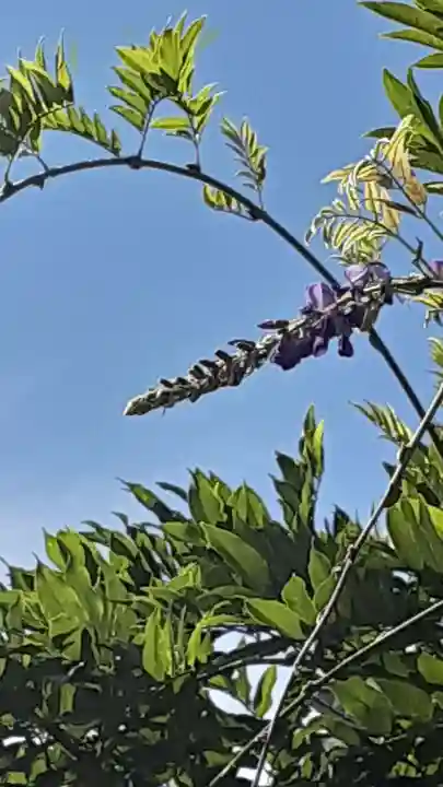 西方山極楽寺(岐阜県)