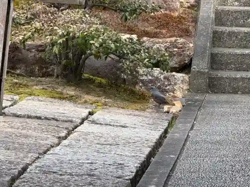 西方山極楽寺(岐阜県)