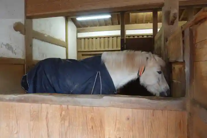 金刀比羅宮(香川県)