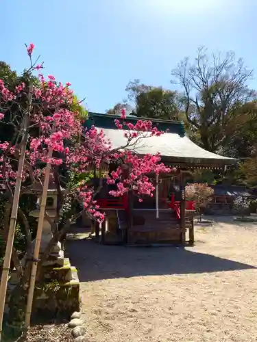 常宮神社の本殿・本堂