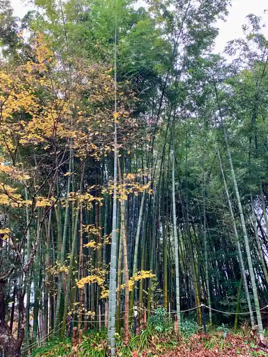 太平山三吉神社総本宮(秋田県)