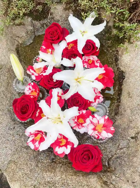 高龍寺の手水舎