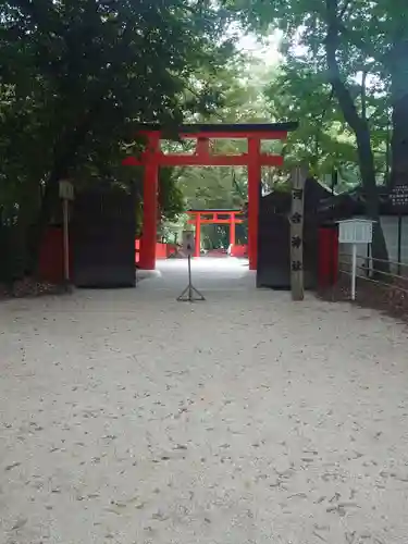 河合神社（鴨川合坐小社宅神社）の鳥居