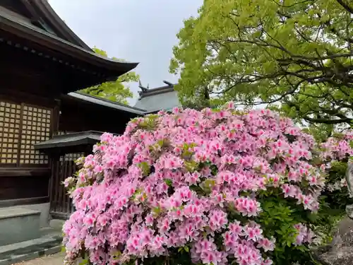 龍造寺八幡宮の自然