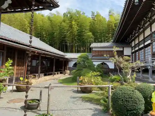 妙蓮寺の本殿・本堂