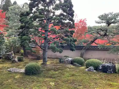 天得院(京都府)