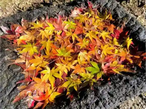 恩林寺(群馬県)