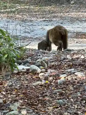 穂高神社奥宮(長野県)