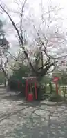 冠稲荷神社の自然