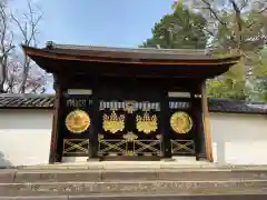 醍醐寺の山門