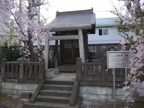 吉祥寺の鳥居