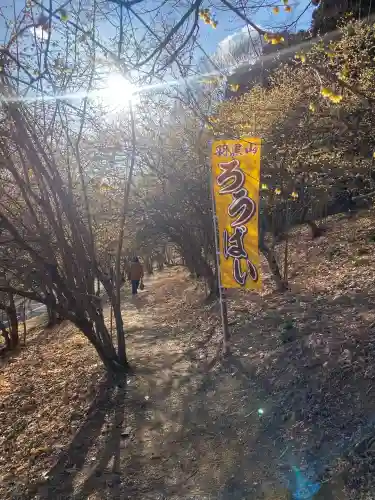 羽黒山神社(栃木県)