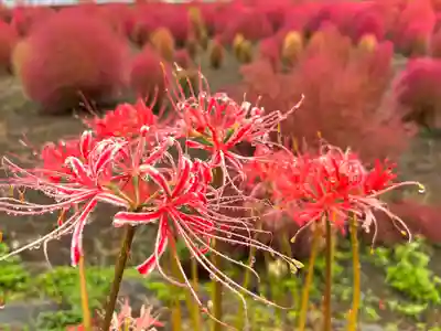 遠照寺(山梨県)