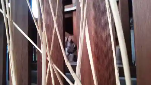 京都ゑびす神社(京都府)