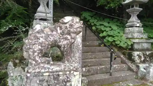 御祖神社の狛犬