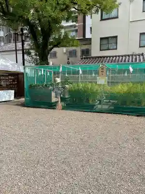 浅草神社のその他建物