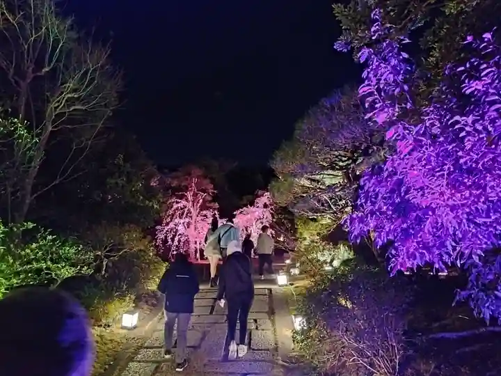 知恩院(京都府)