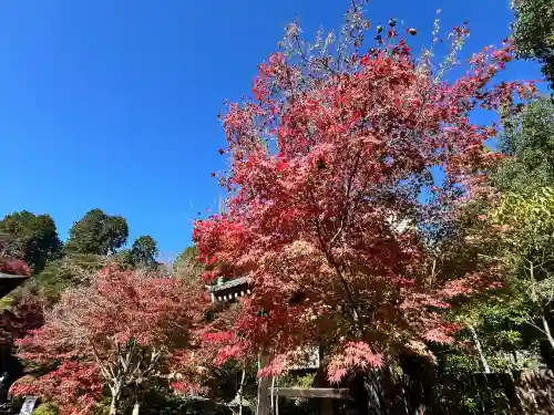 常樂寺(滋賀県)
