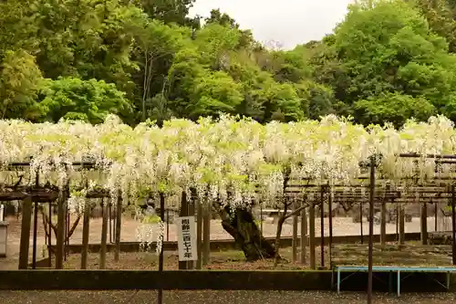 長泉寺(埼玉県)