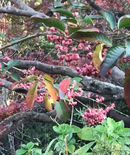 成田山新勝寺の自然