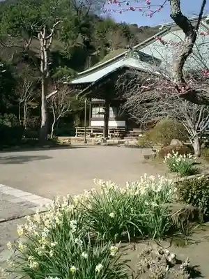海蔵寺の本殿・本堂