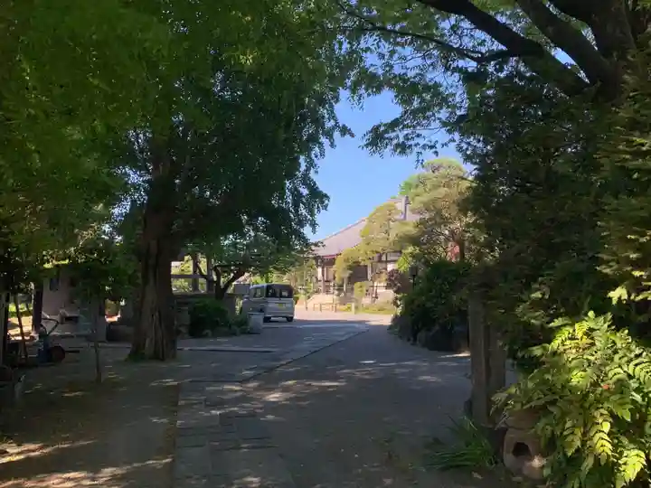 大蓮寺(千葉県)