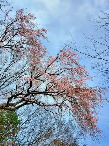 三春大神宮(福島県)