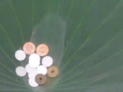 鶴岡八幡宮のその他建物