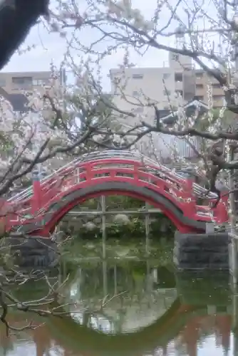 亀戸天神社(東京都)