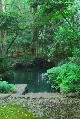 武蔵一宮氷川神社(埼玉県)