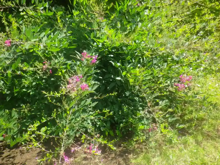 浄光明寺の自然