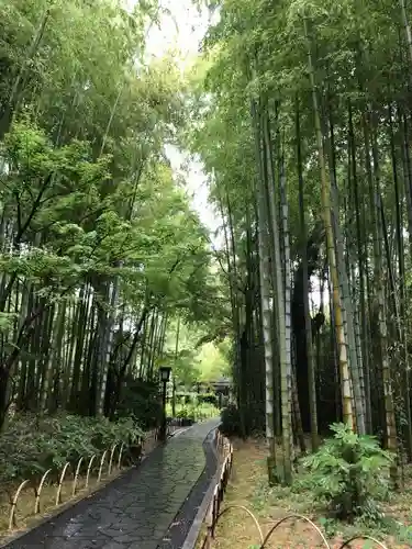 修禅寺の建物その他