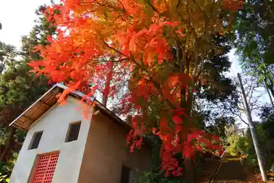 田村神社の自然