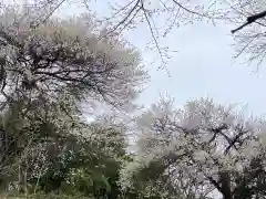 蓮蔵寺(福島県)