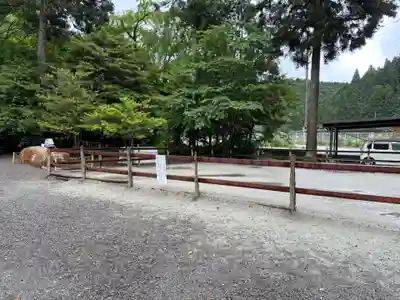 丹生川上神社（下社）(奈良県)
