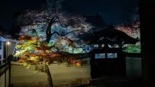 妙顯寺（妙顕寺）(京都府)