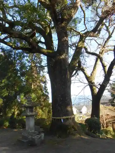 稲荷神社(宮崎県)