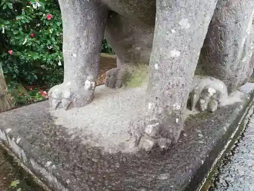 小幡八幡宮の狛犬