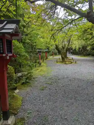 常照寺(京都府)