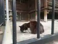 南品川諏訪神社の{uncategorized: "未分類", other: "その他", undefined: "問題あり", building: "その他建物", grave: "お墓", sacred_gate: "鳥居", guardian: "狛犬", statue: "像", buddha: "仏像", history: "歴史", nature: "自然", garden: "庭園", animal: "動物", pagoda: "塔", temizu: "手水舎", mountain_gate: "山門・神門", sanctuary: "本殿・本堂", subordinate: "末社・摂社", art: "芸術", scenery: "景色", jizo: "地蔵", ema: "絵馬", goshuin: "御朱印", omikuji: "おみくじ", items: "授与品その他", amulet: "お守り", goshuincho: "御朱印帳", eats: "食事", festival: "お祭り", votive_dance: "神楽", shichigosan: "七五三参", wedding: "結婚式", experience: "体験その他", initially: "初詣", around: "周辺", anti_infection: "感染症対策"}