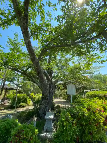 貴船神社の自然
