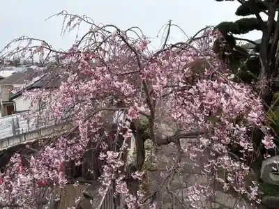 不動寺(大阪府)