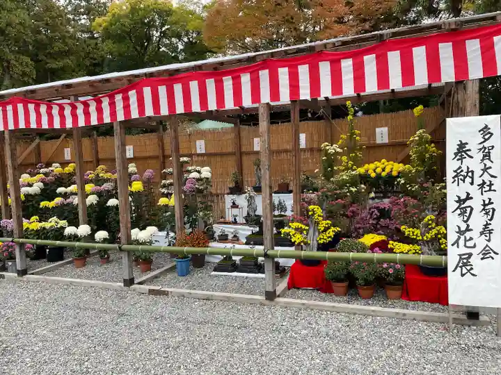 多賀大社(滋賀県)