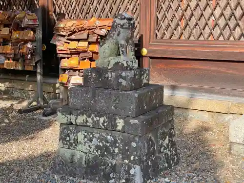 梅宮大社の狛犬